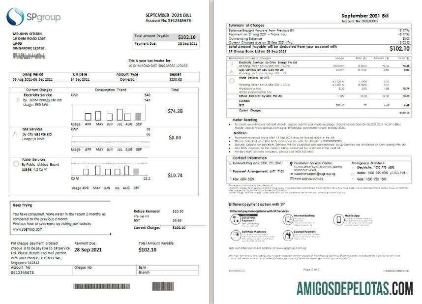 Para baixar modelo de fatura de serviços públicos do Grupo Singapura SP em formato Word e PDF (2 páginas)